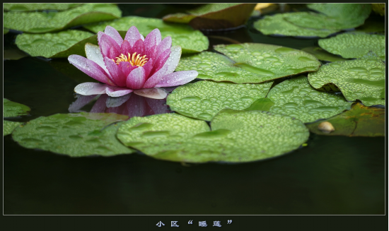 什么叫远景、全景、中景、近景,你造吗?
