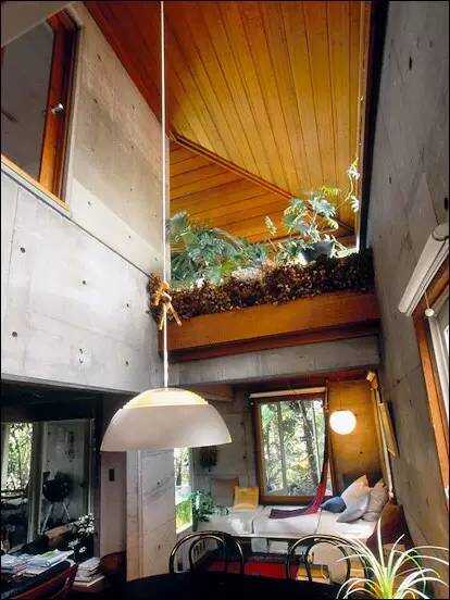 日本建筑师的家是什么样？绿荫中别具风情的阿部勤家