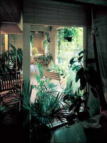 日本建筑师的家是什么样？绿荫中别具风情的阿部勤家