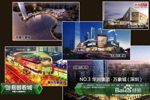 中国十大购物中心品牌榜