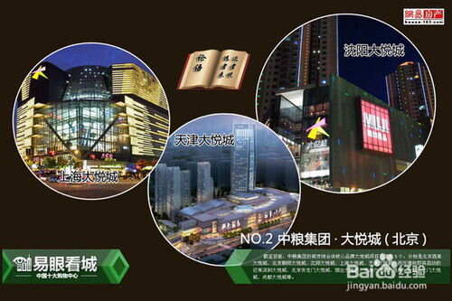 中国十大购物中心品牌榜