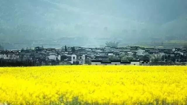 一生痴绝处，无梦到徽州！