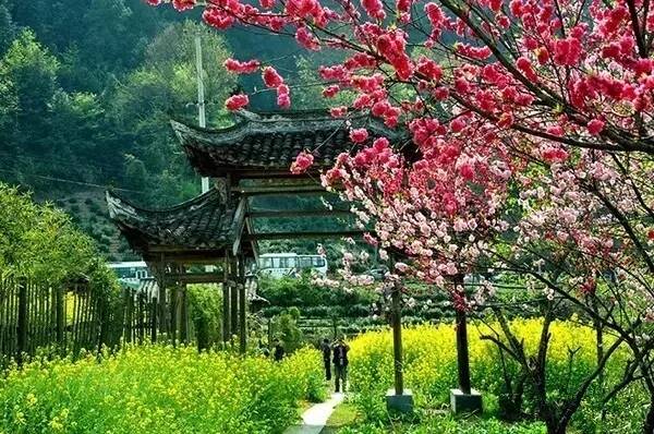 一生痴绝处，无梦到徽州！